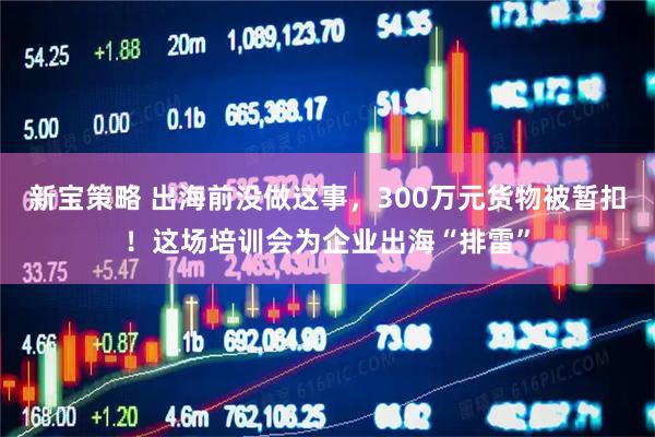 新宝策略 出海前没做这事，300万元货物被暂扣！这场培训会为企业出海“排雷”