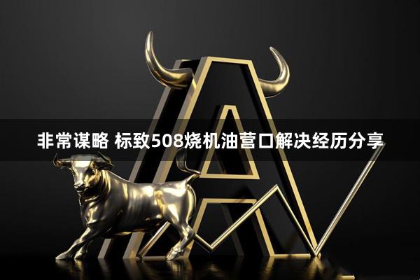 非常谋略 标致508烧机油营口解决经历分享