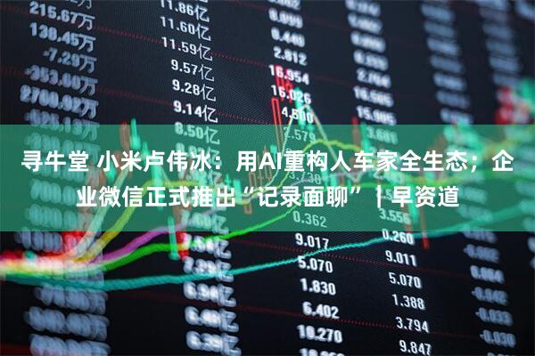 寻牛堂 小米卢伟冰：用AI重构人车家全生态；企业微信正式推出“记录面聊”｜早资道