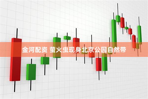 金河配资 萤火虫现身北京公园自然带