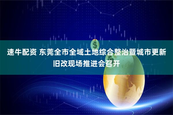 速牛配资 东莞全市全域土地综合整治暨城市更新旧改现场推进会召开