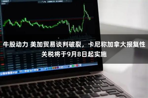 牛股动力 美加贸易谈判破裂，卡尼称加拿大报复性关税将于9月8日起实施