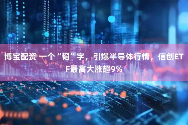 博宝配资 一个“韬”字，引爆半导体行情，信创ETF最高大涨超9%